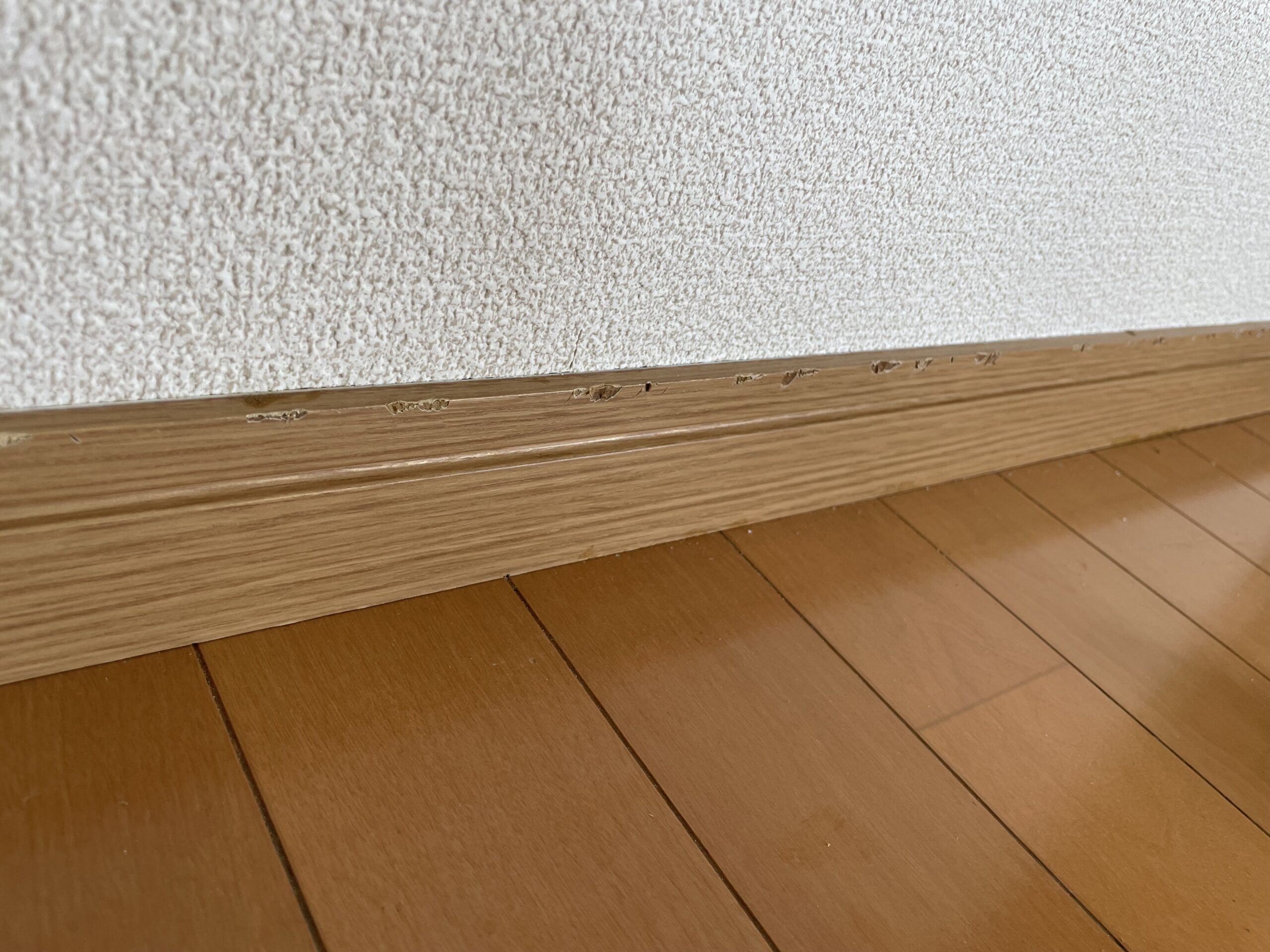 施工前の写真